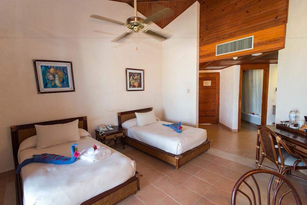 Natura Park Beach & Spa Eco Resort Punta Cana Exterior photo Deluxe room