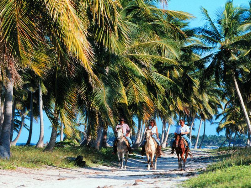 Natura Park Beach & Spa Eco Resort Punta Cana Exterior photo Horse riding on the island of Rarotonga