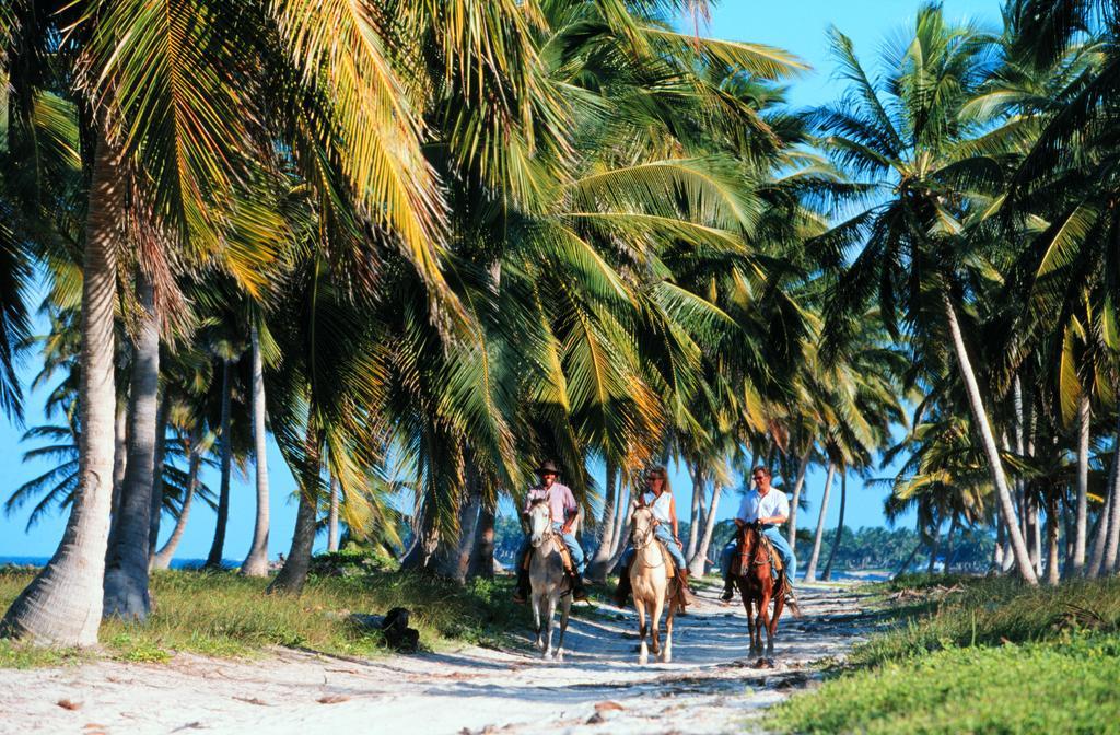 Natura Park Beach & Spa Eco Resort Punta Cana Exterior photo Horse riding on the island of Mauritius